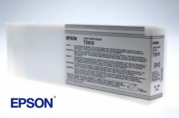 Epson Tinte Stylus PRO 11880, Light Light Black