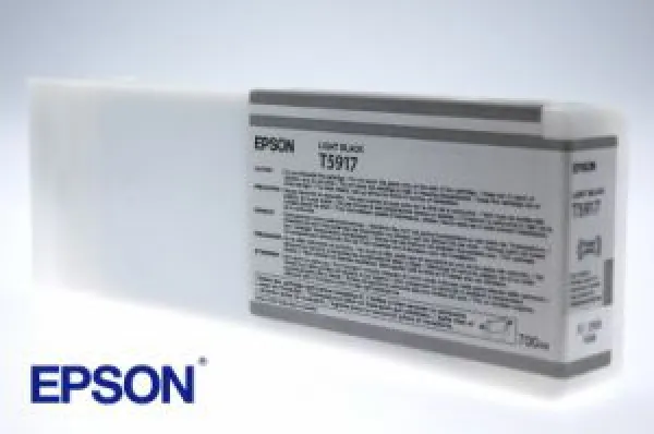 Epson Tinte Stylus PRO 11880, Light Black