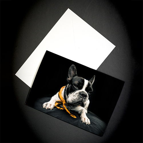 Fotocards Legacy Gloss, DIN A5, 25 Blatt