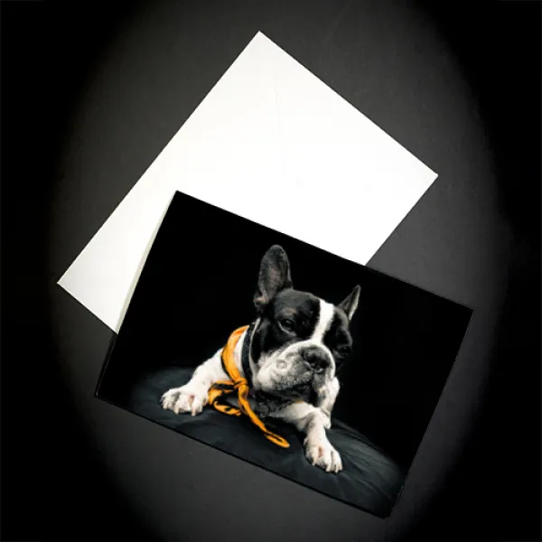 Fotocards Legacy Gloss, DIN A5, 25 Blatt