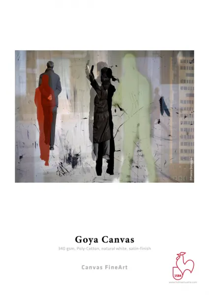 Hahnemühle Goya Canvas, 24