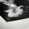 Hahnemühle Photo Rag Baryta