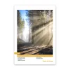 RC Photo Lustre 260g, DIN A4, 50 Blatt