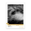 RC Photo Metallic Lustre 260g, DIN A3, 50 Blatt