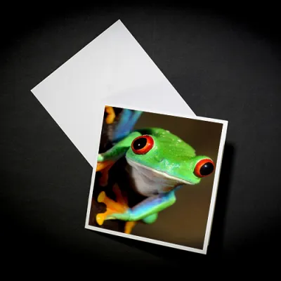 Die Fotospeed Fotocards sind ide...
