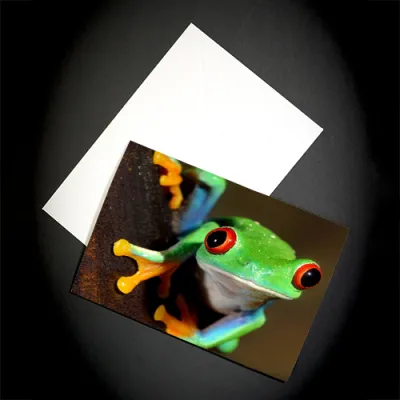 Die Fotospeed Fotocards sind ide...