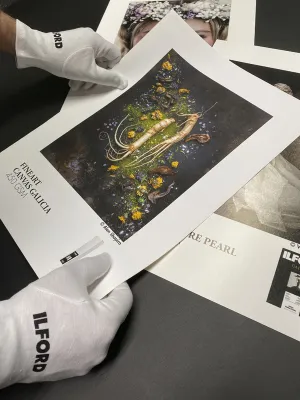 Bei der Handhabung von Fine Art ...
