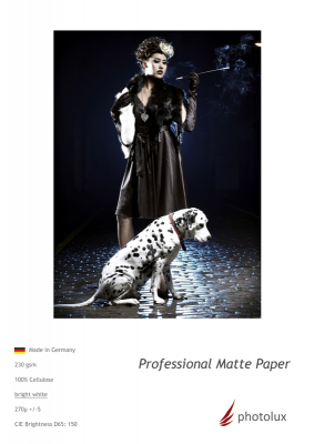 Professional Matte Paper 230 g/m, 17" Rolle